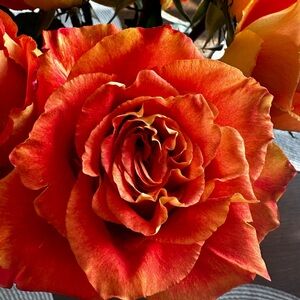 Meet your Posher, Marnie